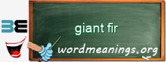 WordMeaning blackboard for giant fir